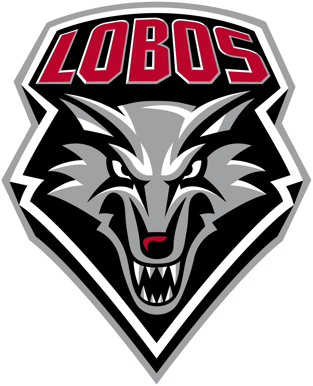 University of New Mexico